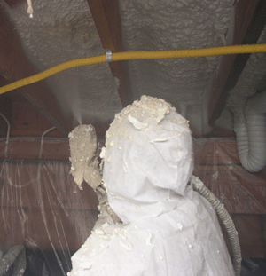 Grand Rapids MI crawl space insulation